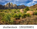 Organ Mountains, Southern New Mexico