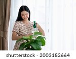 Young Asian Woman Sprays Plants ...