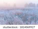 November frosty morning. Beautiful autumn misty sunrise landscape. Foggy morning and rime at scenic high grass meadow.