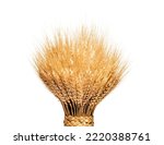 Small photo of Braided wheat sheaf, isolated on white background.