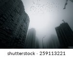 Skyscrapers At Early Foggy...