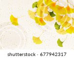 Ginkgo Leaves Autumn Background