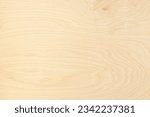 Small photo of ply wood texture bright interior furniture