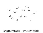 a flock of flying silhouette... | Shutterstock .eps vector #1903246081