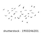 a flock of flying silhouette... | Shutterstock .eps vector #1903246201