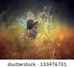Vintage Butterfly. Antique...