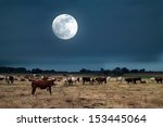 Moonrise Over Farmland