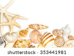 Variety Of Sea Shells  On A...