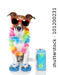 Tourist Dog With Hawaiian  Lei...