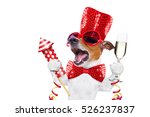 Small photo of jack russell dog celebrating new years eve with champagne glass and singing out loud, with a fireworks rocket , isolated on white background