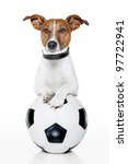 Dog With A White Soccer Ball