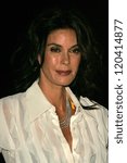 Small photo of Teri Hatcher at the Movieline Hollywood Life Style Awards. Pacific Design Center, West Hollywood, CA. 10-15-06