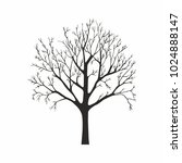 tree silhouette on white... | Shutterstock .eps vector #1024888147