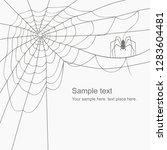 black spider and torn web | Shutterstock . vector #1283604481