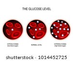 stock-vector-glucose-in-the-blood-vessel