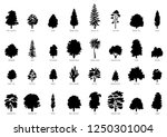 the collection of trees... | Shutterstock .eps vector #1250301004