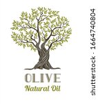 vector olive tree. olive oil... | Shutterstock .eps vector #1664740804