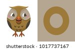 O Is For Owl. Letter O. Owl. ...