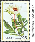 Small photo of GREECE - CIRCA 1978: A stamp printed in Greece from the "Greek flora" issue shows a Paeonia rhodia flower, circa 1978.