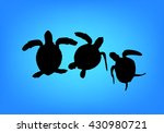 graphic sea turtle  vector | Shutterstock .eps vector #430980721