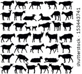 Goats Collection   Vector...