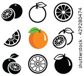 Orange Fruit Icon Collection  ...