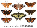 Butterfly Collection   Vector...