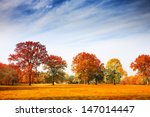 Colorful Autumn Trees Landscape ...