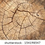 Old Tree Stump Texture...
