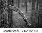 Shallow DOF close-up of patinated Kukri knife stabbed in tree trunk (BW version)