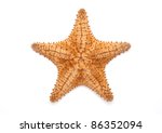 Sea Star Isolated On White
