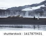 Steaming Volcanic Beach In...