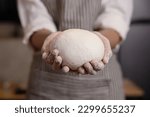 Woman Hands Hold the Dough Before Putting the Dough into the Oven