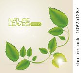 illustration of green leaves... | Shutterstock .eps vector #109251287