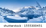 Winter panoramic landscape with ...