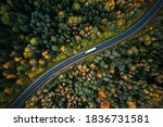 Arial view of heavy truck on a narrow twisting road. Autumn colorful trees by the sides of the road.