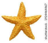Yellow starfish souvenir ...
