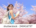 Happy travel woman look map and smile with sakura cherry blossoms tree on vacation while spring, asian