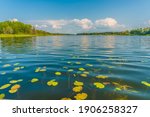 view of the lake with water... | Shutterstock . vector #1906258327