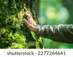 A man's hand touch the tree trunk close-up. Bark wood.Caring for the environment. The ecology concept of saving the world and love nature by human.