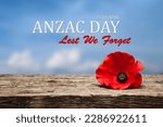 Small photo of Poppy pin for Anzac Day. Poppy flower on old beautiful high grain, detailed wood on background of blue sky. Anzac Day Lest We Forget.