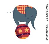 Circus Elephant In Ball...