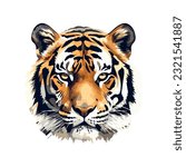 Majestic Bengal tiger over white