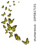 beautiful yellow monarch... | Shutterstock . vector #1095817151