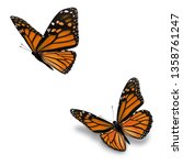 beautiful two orange monarch... | Shutterstock . vector #1358761247