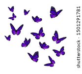 beautiful purple monarch... | Shutterstock . vector #1501291781