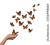 hands releasing butterflies... | Shutterstock . vector #1556998064