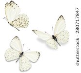Three white butterfly  isolated ...