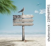 Small photo of Seagull and old wooden signpost on the beach, happy summer holiday concept