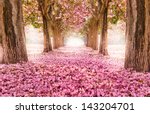 The Romantic Tunnel Of Pink...